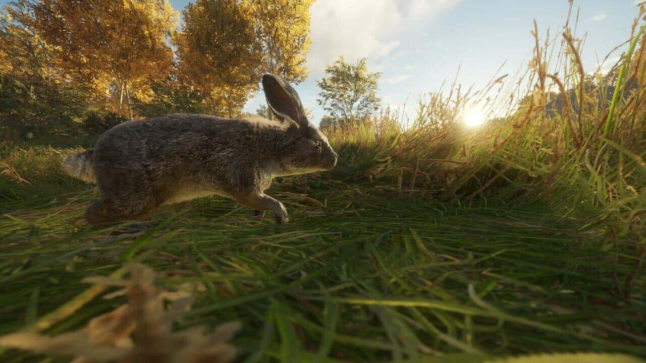 TheHunter: Call of the Wild - Free Species: European Rabbit thumbnail 2