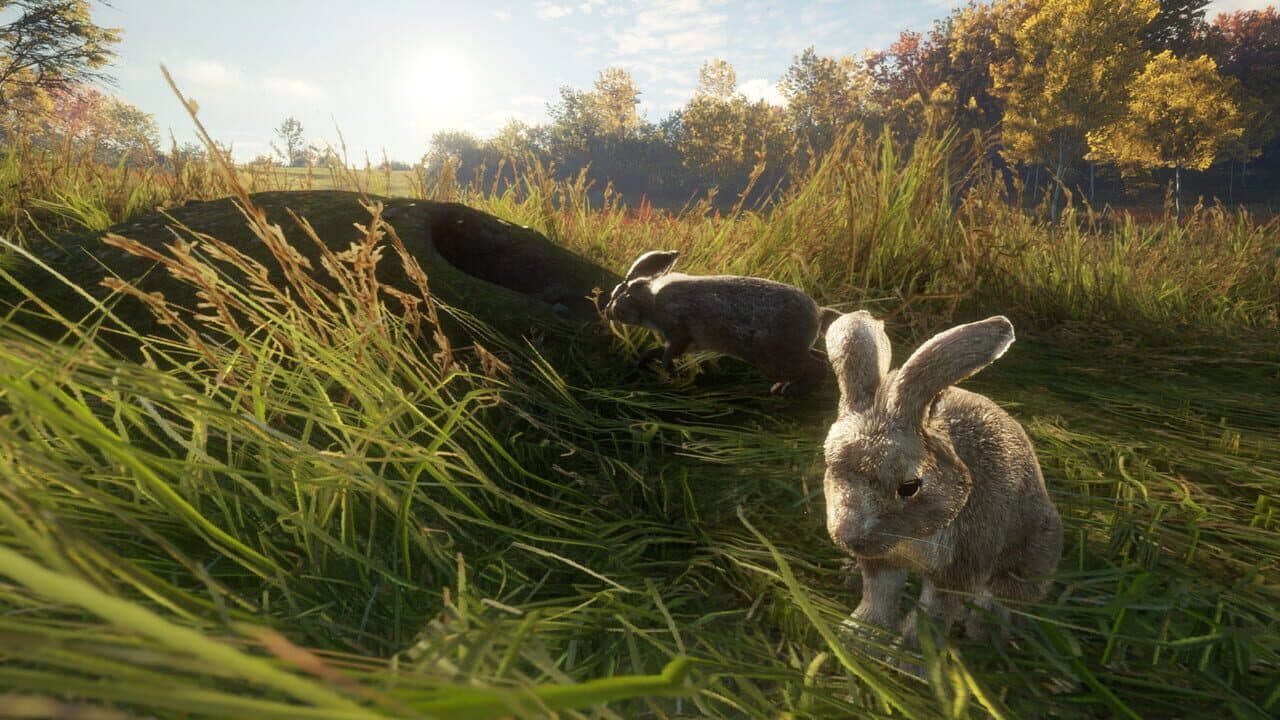 TheHunter: Call of the Wild - Free Species: European Rabbit thumbnail 4
