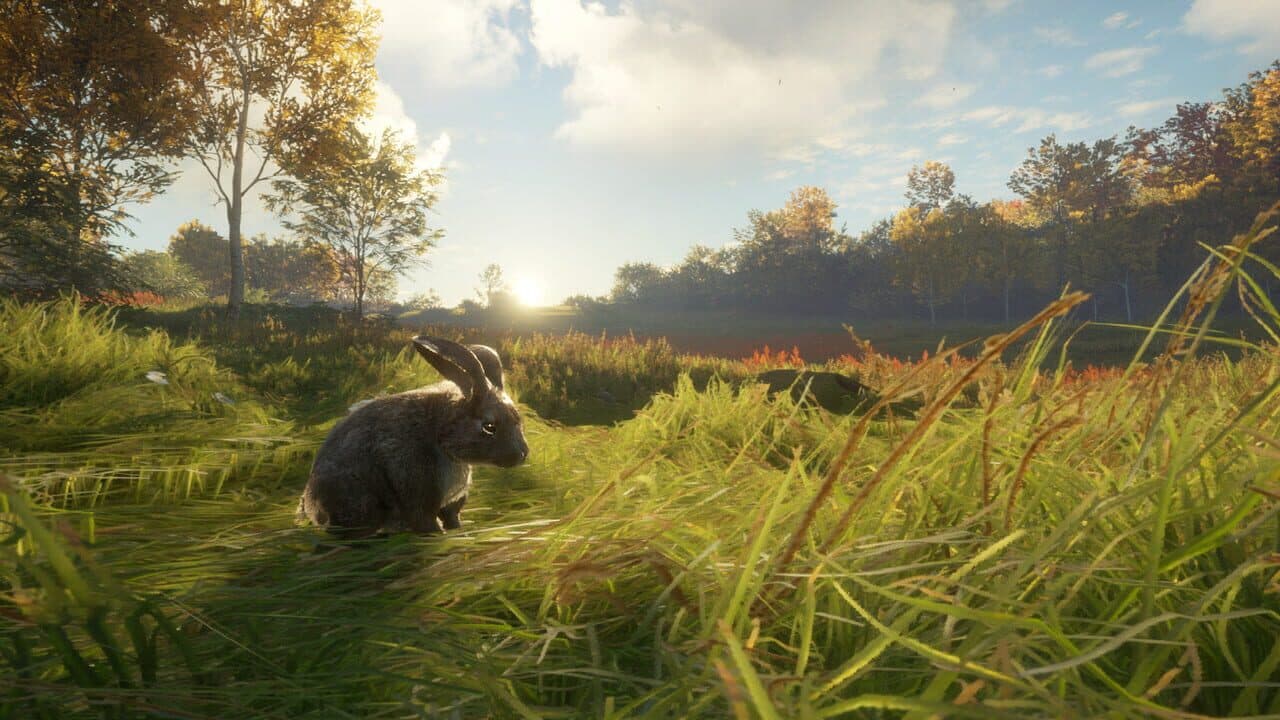 TheHunter: Call of the Wild - Free Species: European Rabbit thumbnail 5