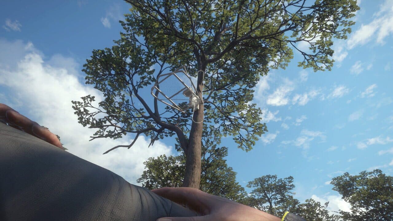 TheHunter: Call of the Wild - Treestand & Tripod Pack thumbnail 4