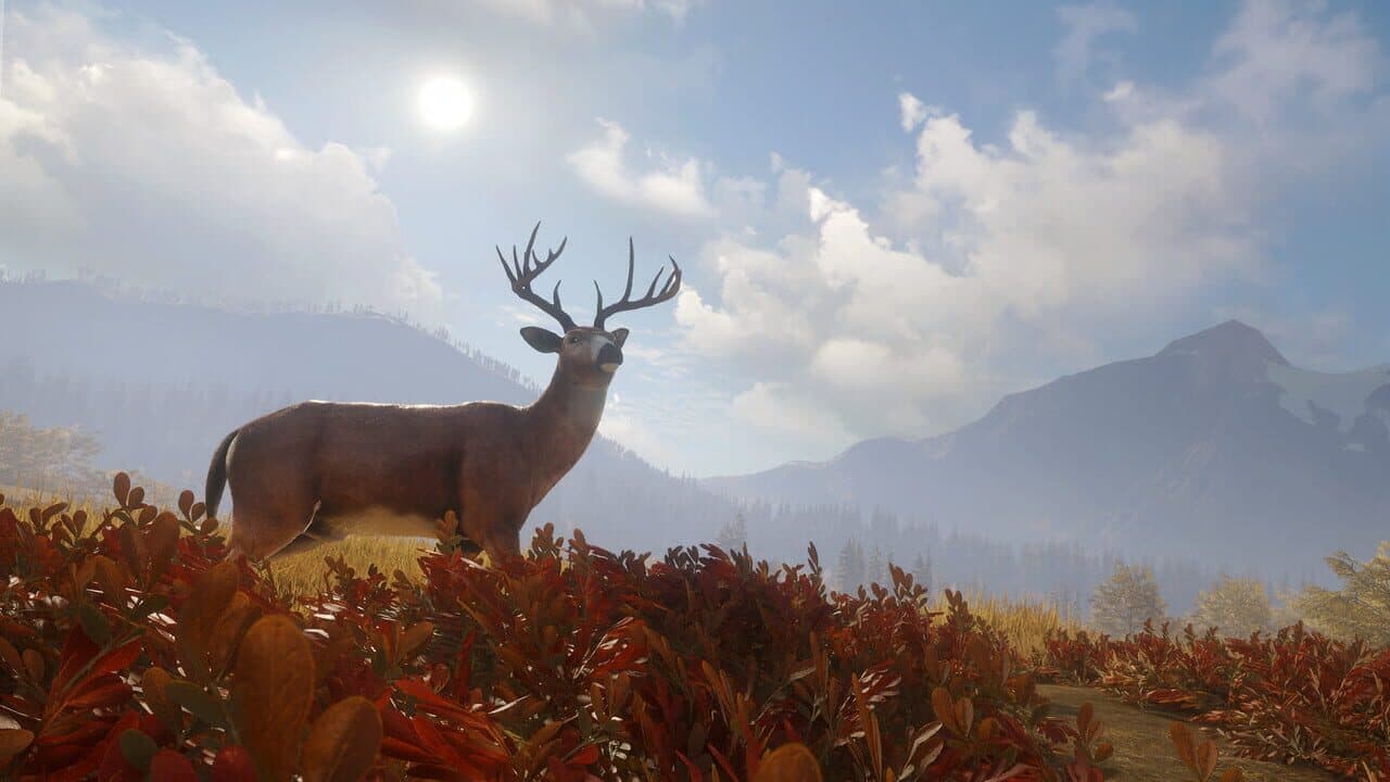 TheHunter: Call of the Wild - TruRACS thumbnail 2