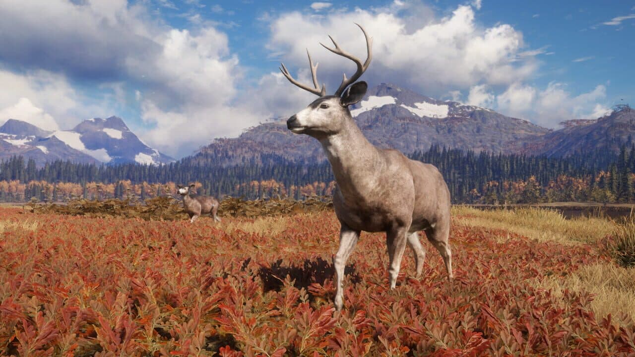 TheHunter: Call of the Wild - TruRACS thumbnail 3