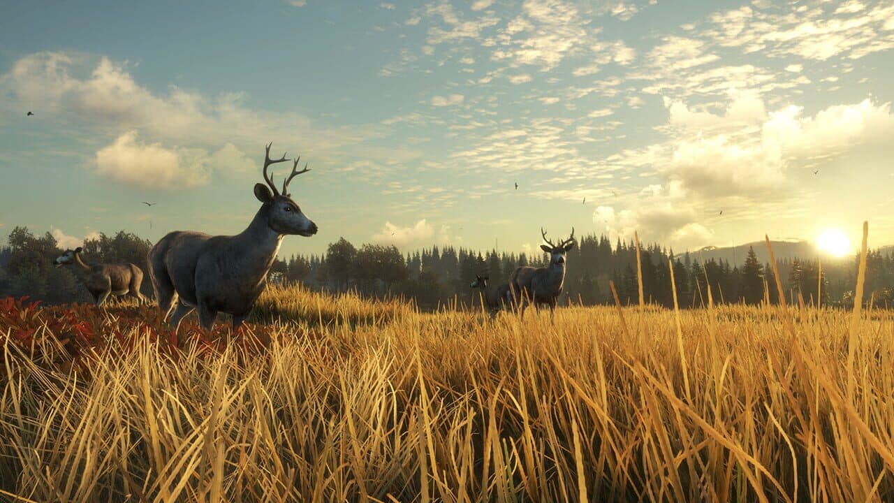 TheHunter: Call of the Wild - TruRACS thumbnail 4