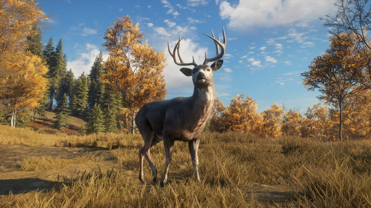 TheHunter: Call of the Wild - TruRACS thumbnail 5