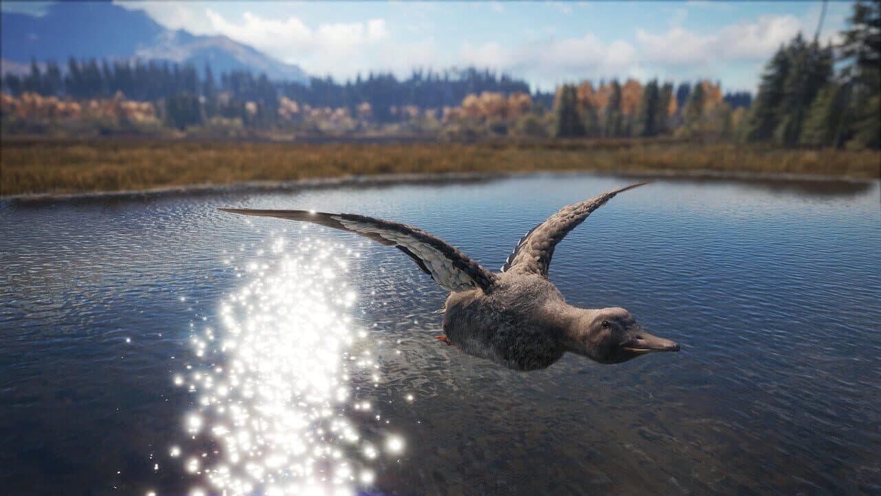 TheHunter: Call of the Wild - Duck and Cover Pack thumbnail 2