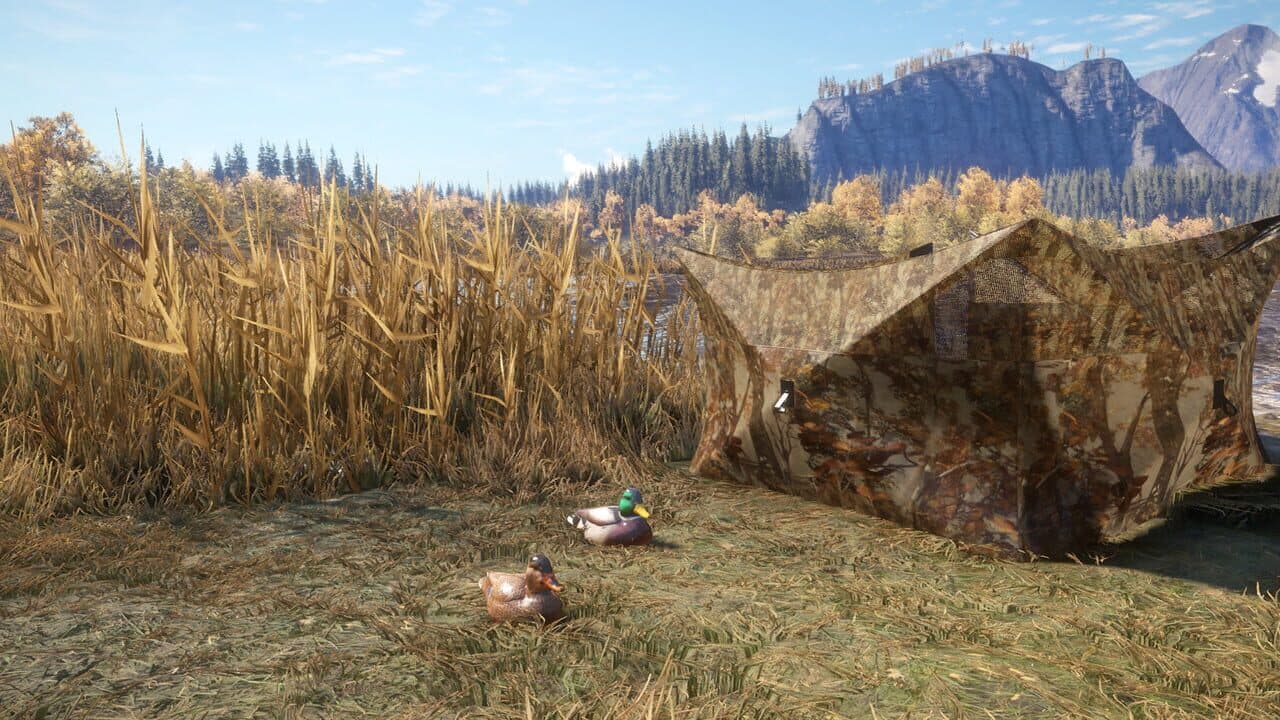 TheHunter: Call of the Wild - Duck and Cover Pack thumbnail 9