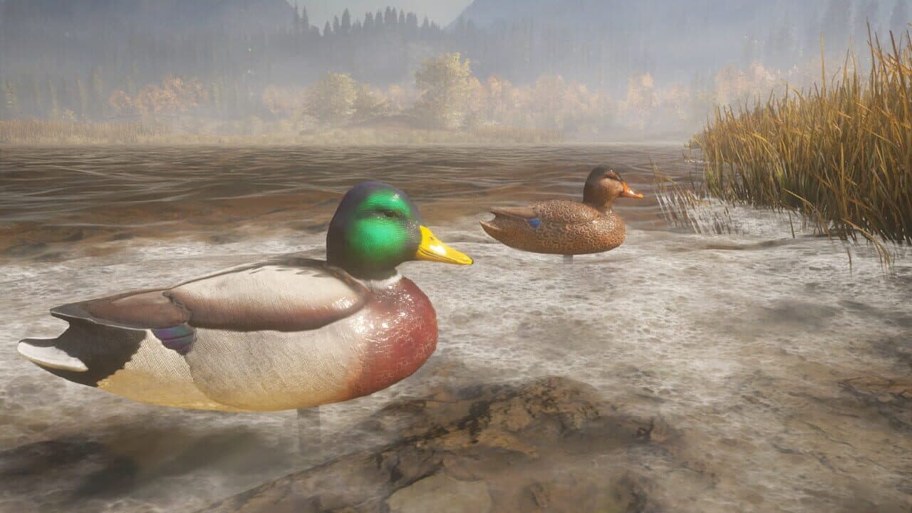 TheHunter: Call of the Wild - Duck and Cover Pack thumbnail 4