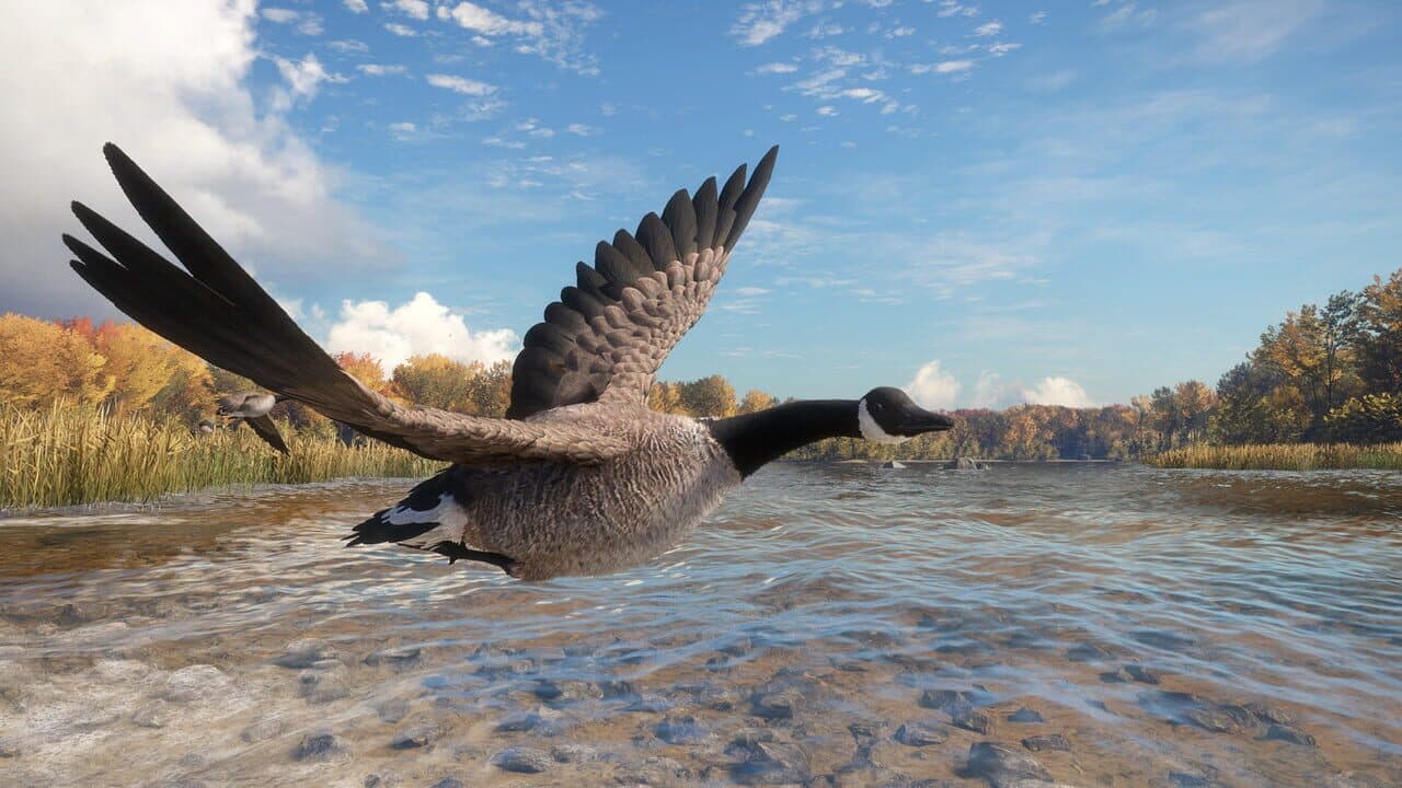 TheHunter: Call of the Wild - Wild Goose Chase Gear thumbnail 11