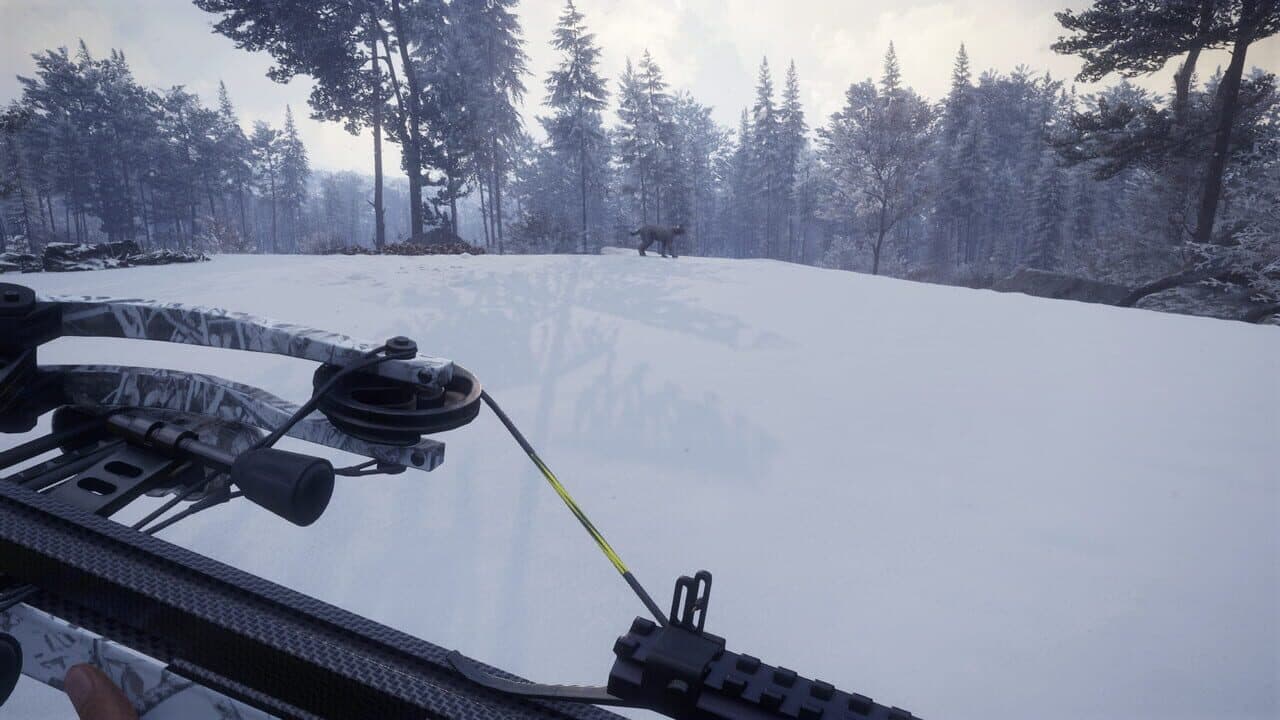 TheHunter: Call of the Wild - Weapon Pack 1 thumbnail 7