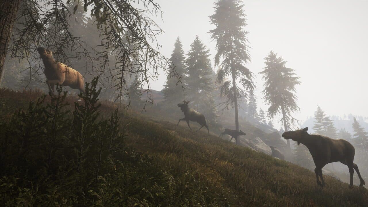 TheHunter: Call of the Wild - Facing the Wild 1 thumbnail 4