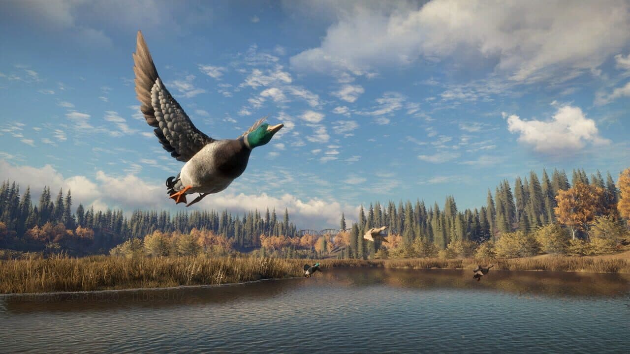 TheHunter: Call of the Wild - New Species 2018 thumbnail 2