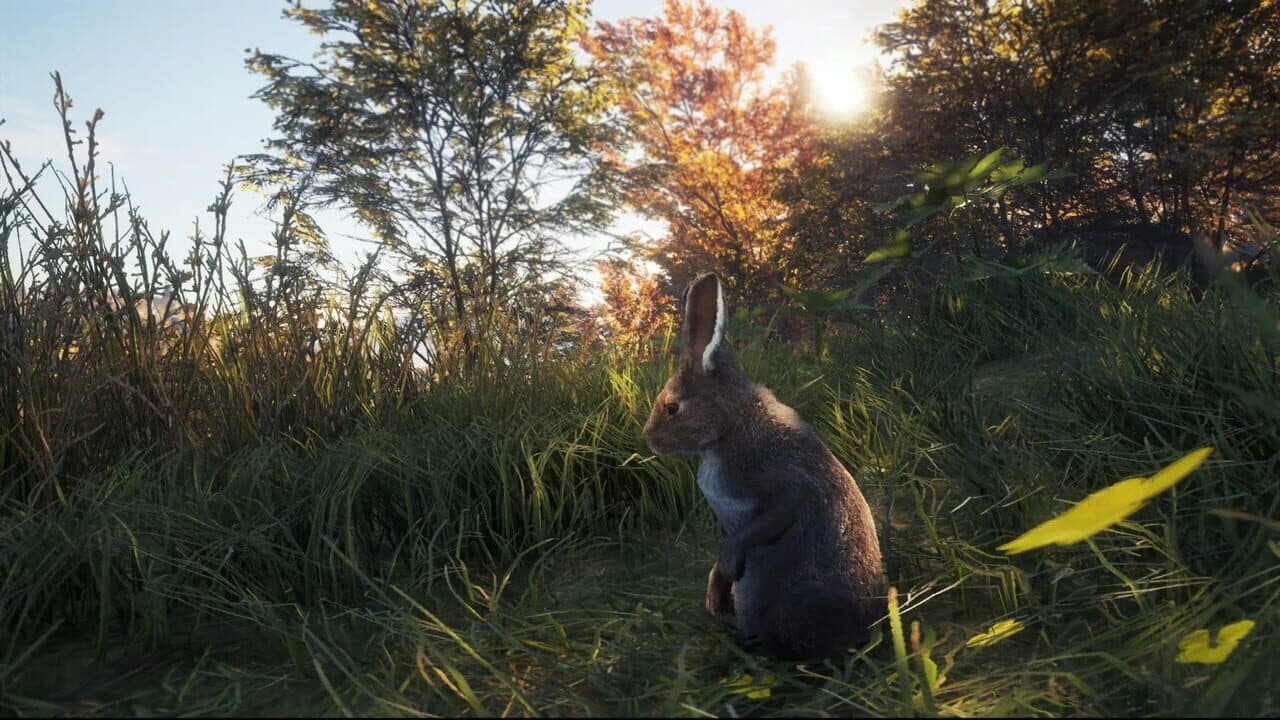 TheHunter: Call of the Wild - New Species 2018 thumbnail 4