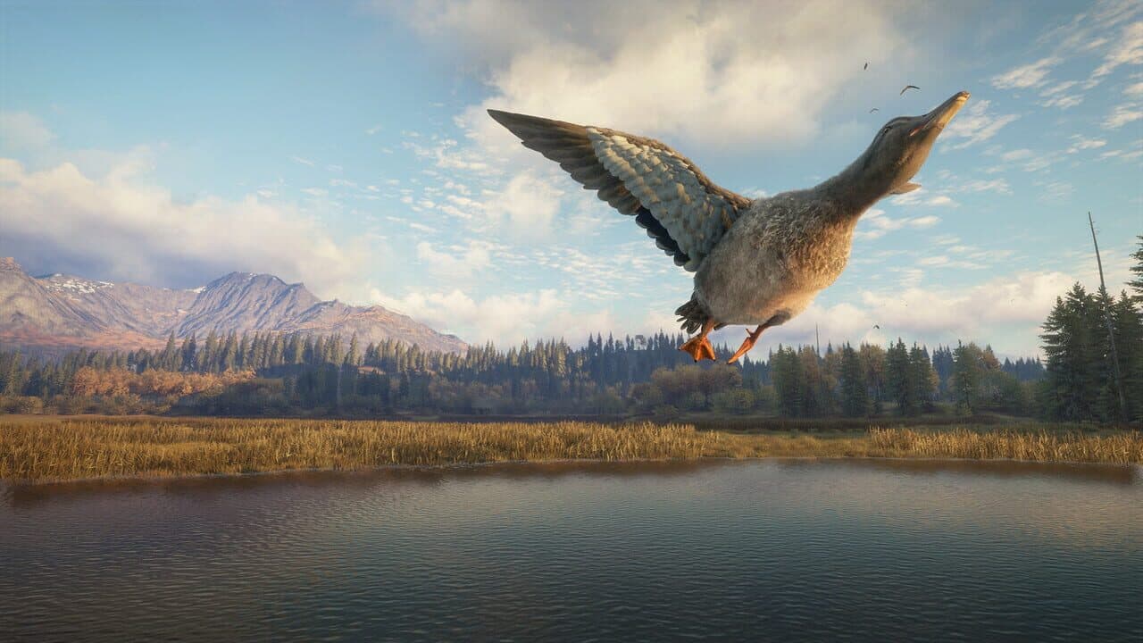 TheHunter: Call of the Wild - New Species 2018 thumbnail 5