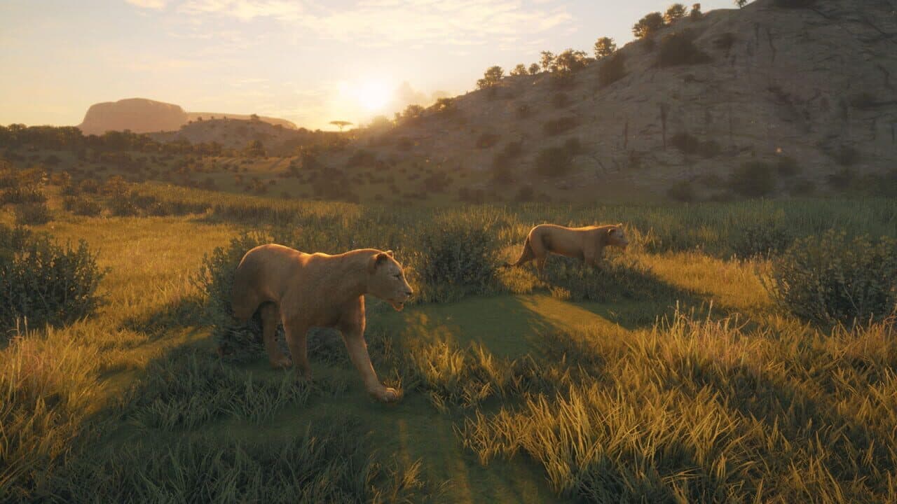 TheHunter: Call of the Wild - New Species 2019 thumbnail 2