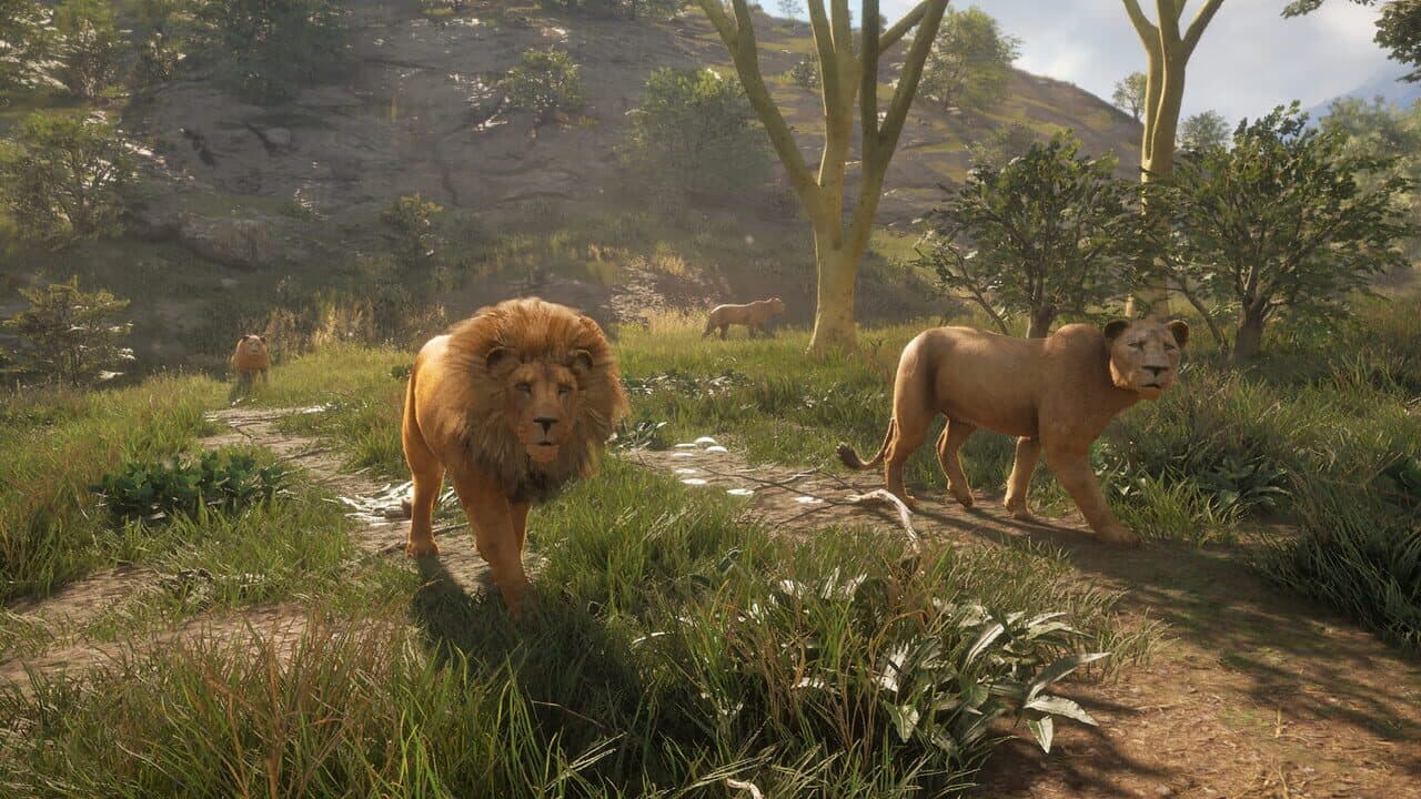 TheHunter: Call of the Wild - New Species 2019 thumbnail 5