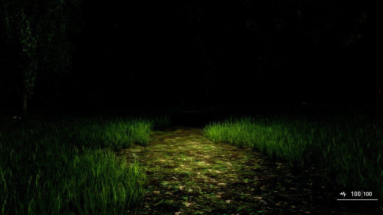 Alone Again: The Countryside screenshot 1