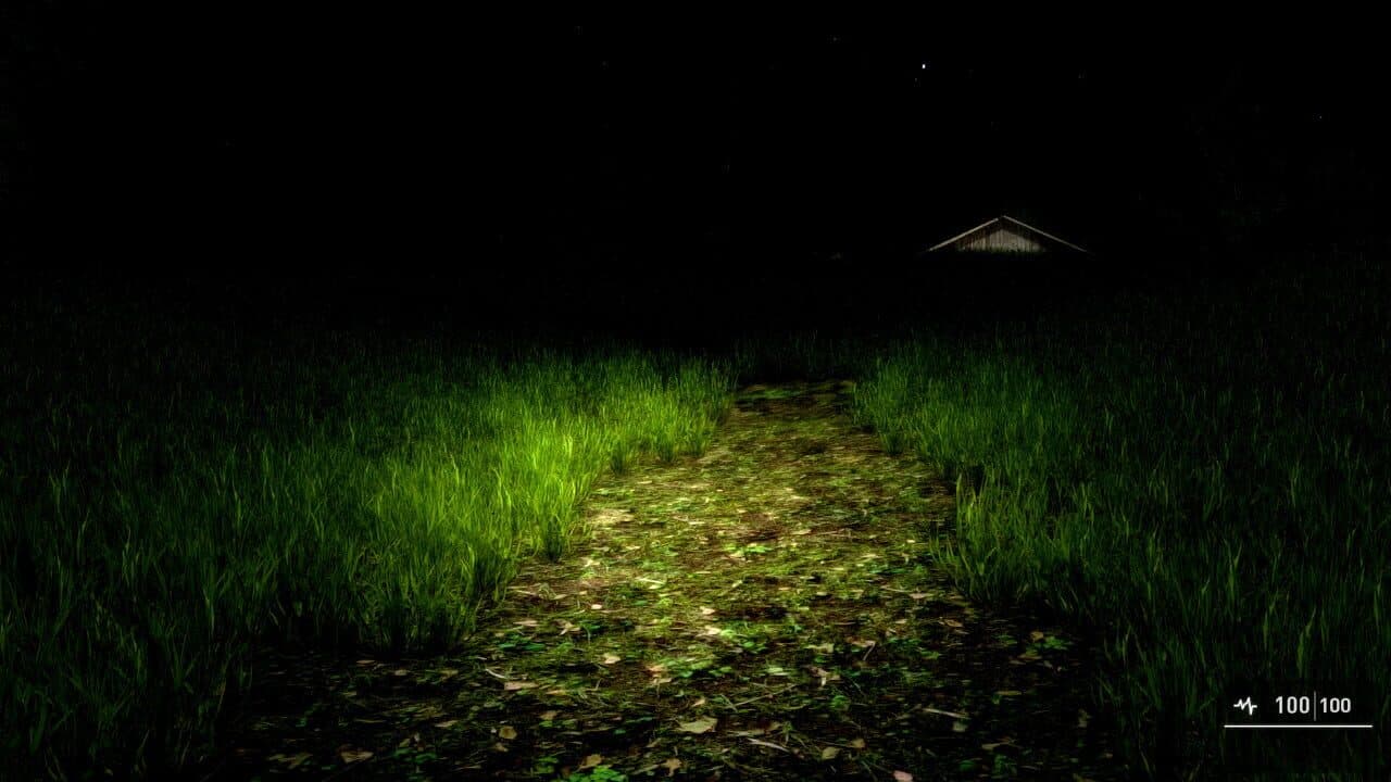Alone Again: The Countryside thumbnail 12