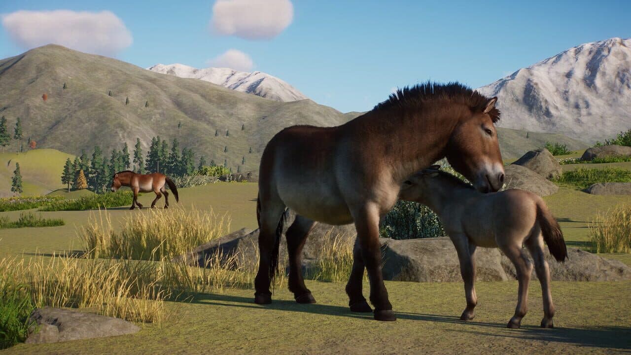 Planet Zoo: Conservation Pack thumbnail 4