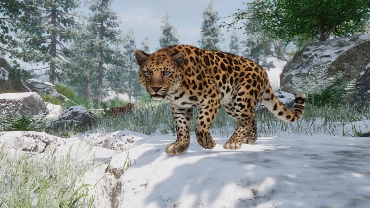Planet Zoo: Conservation Pack thumbnail 8