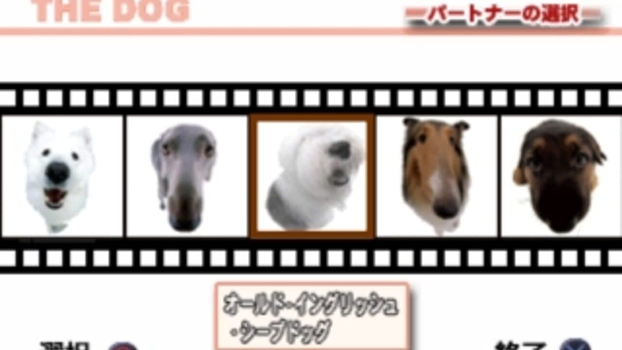 The Dog Master thumbnail 2
