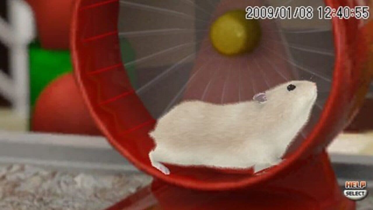 Petz Hamsterz Bunch thumbnail 3
