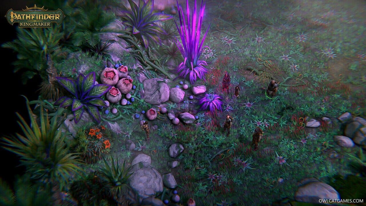 Pathfinder: Kingmaker - Noble Edition thumbnail 6