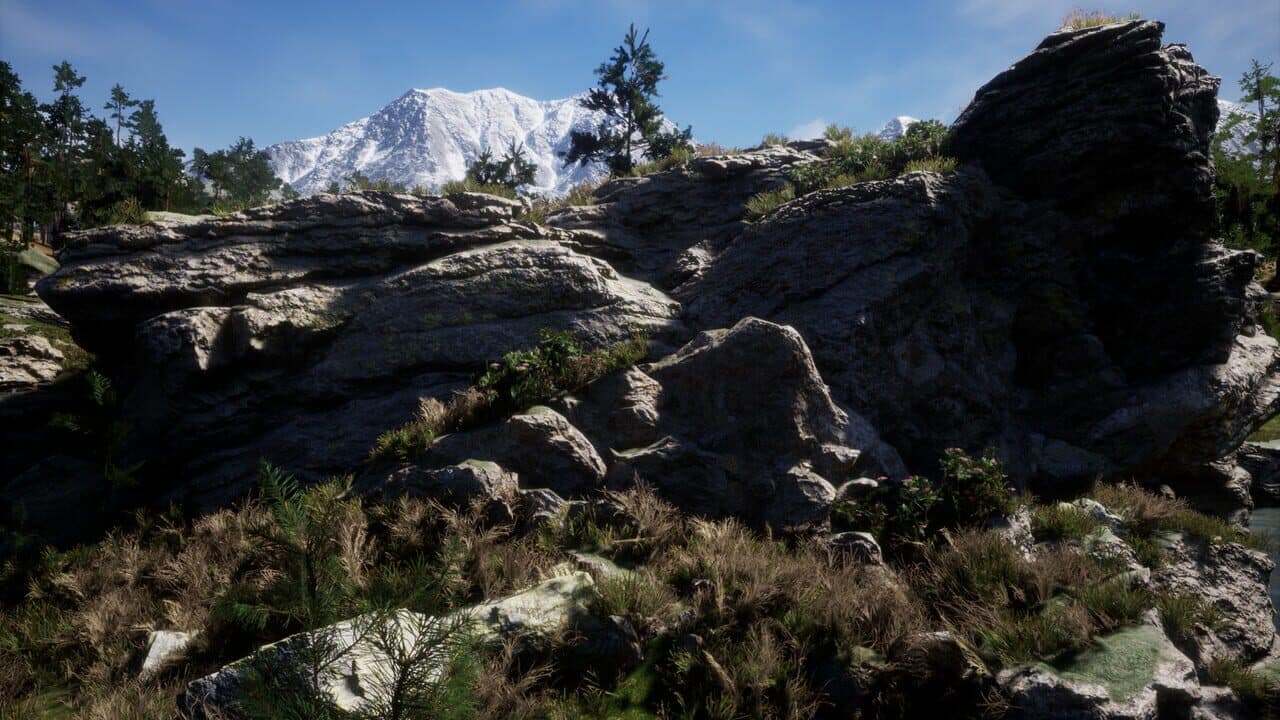 Direct Contact thumbnail 10