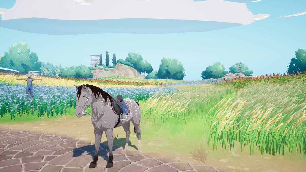 Horse Tales: Emerald Valley Ranch thumbnail 9