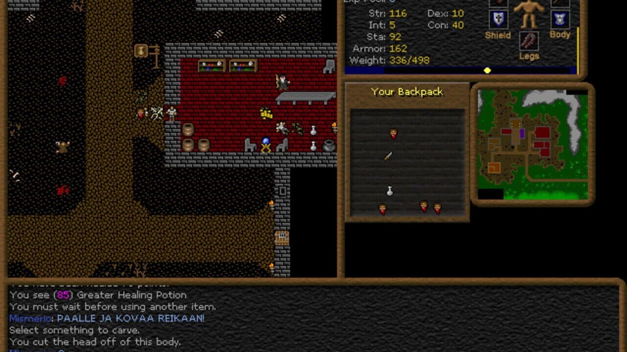 Dransik screenshot 1