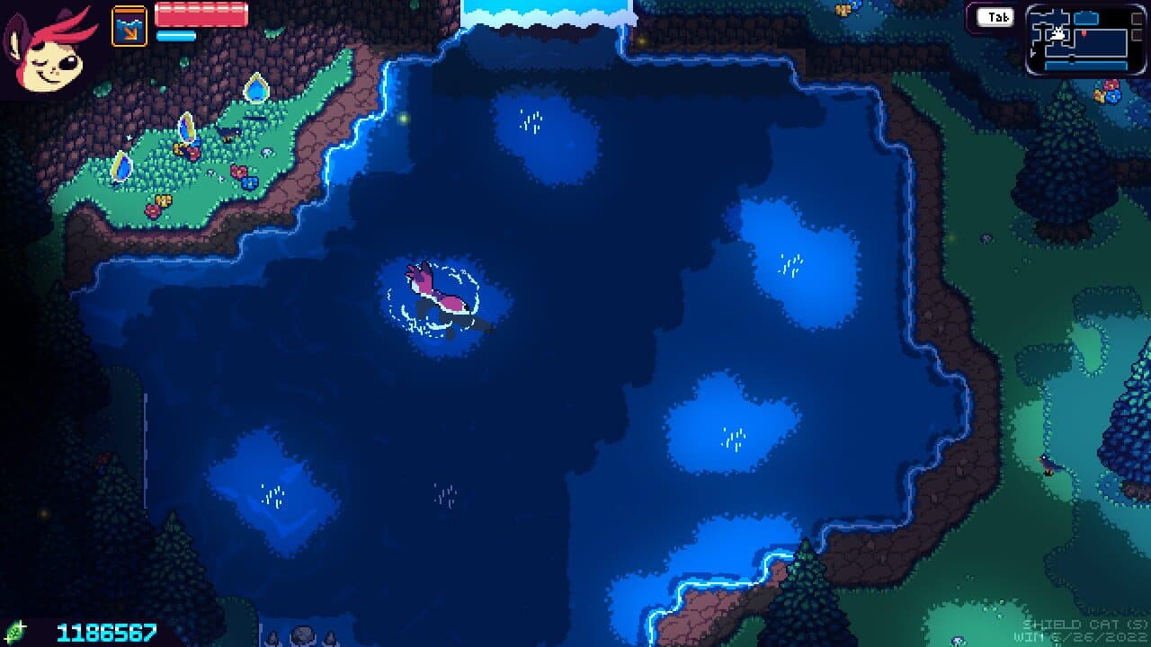 Shield Cat thumbnail 7