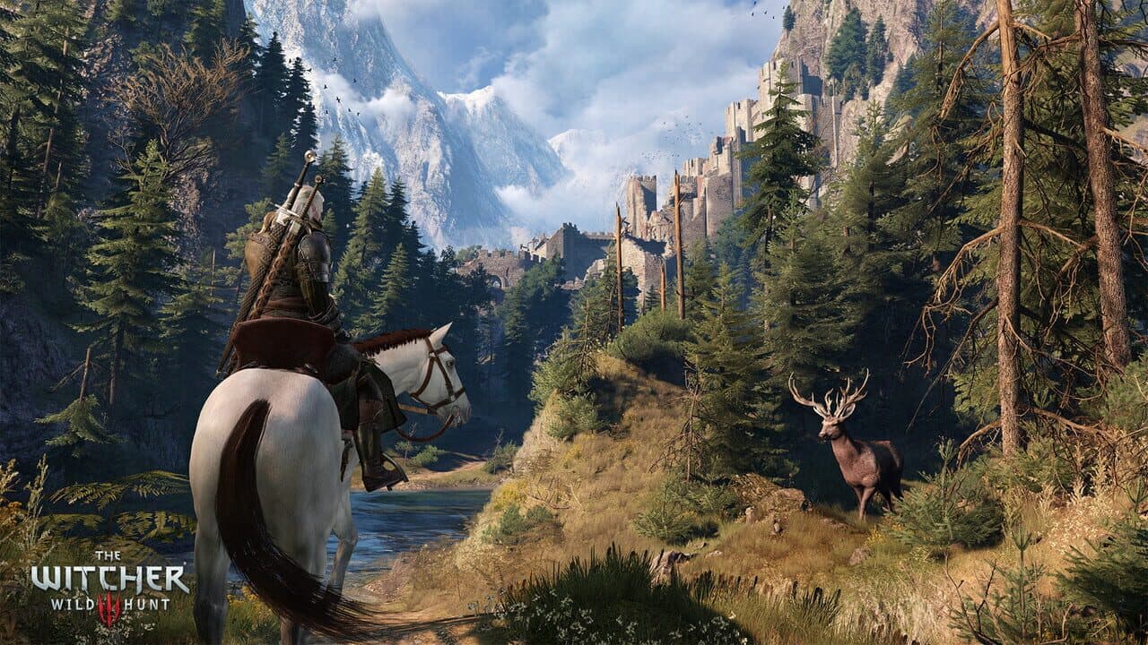 The Witcher 3: Wild Hunt thumbnail 8