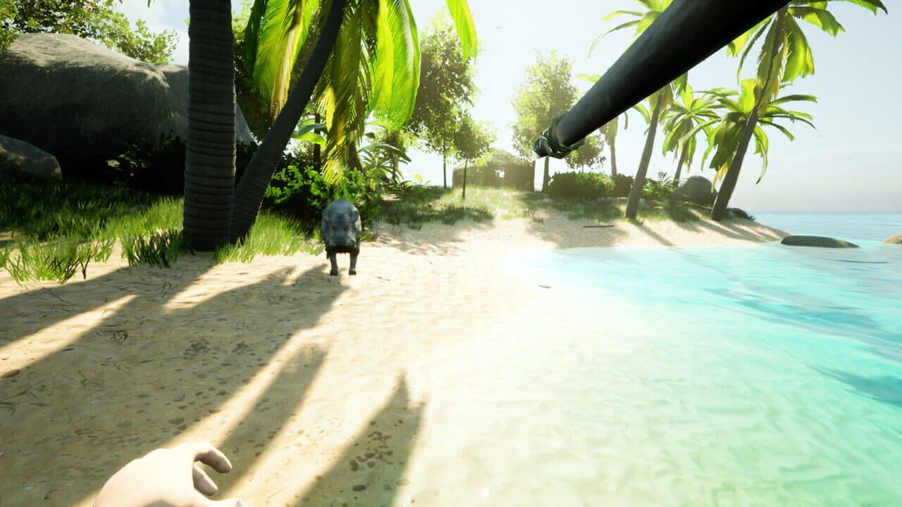 Under A New Sun thumbnail 7