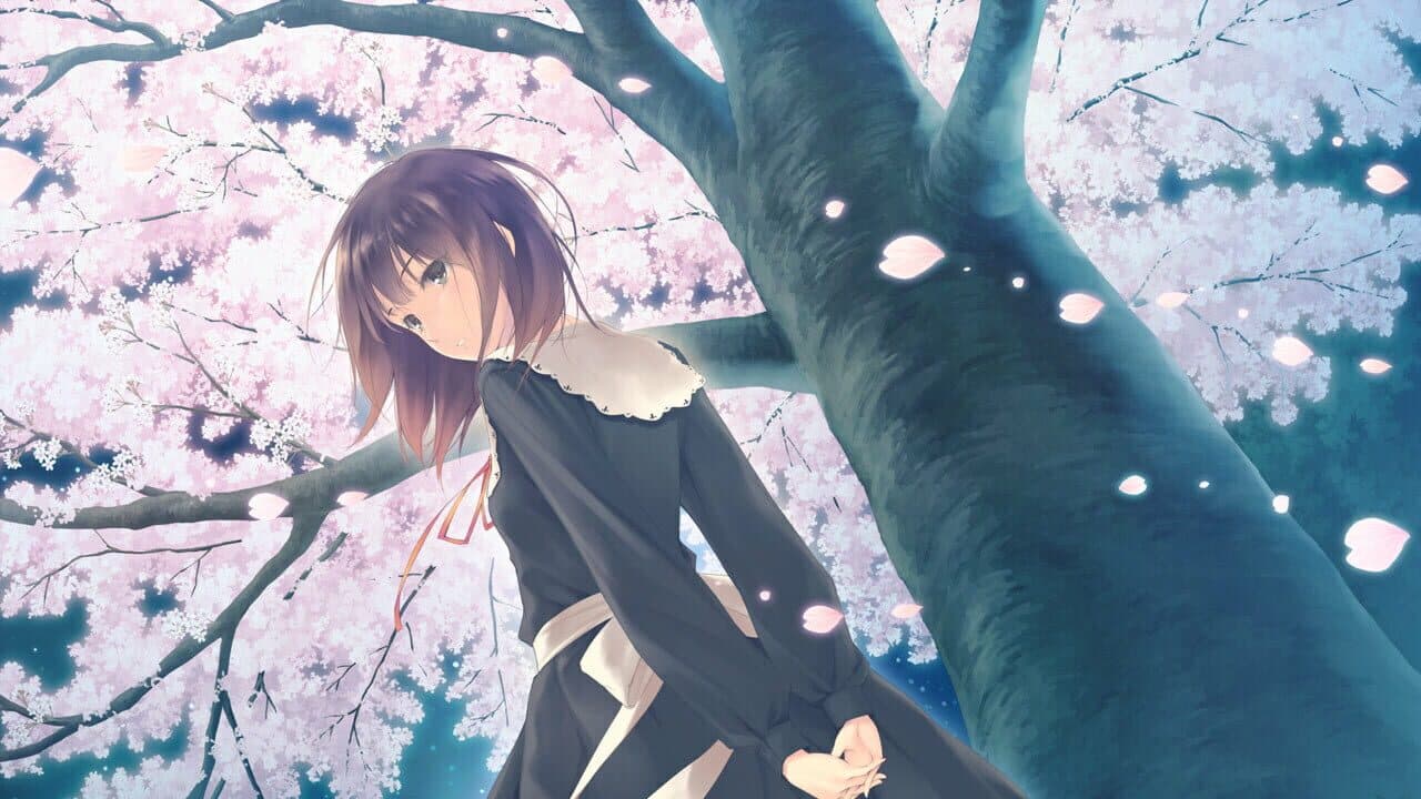 Flowers Bundle thumbnail 25