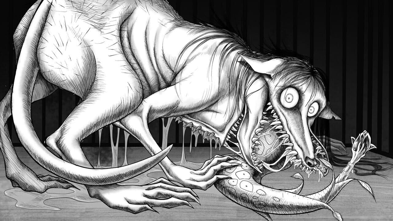 Mycorrhiza thumbnail 4