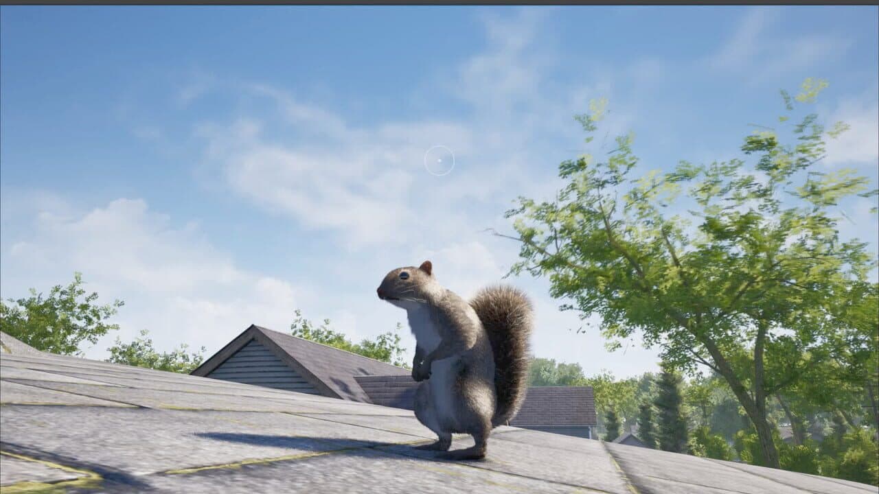 Squirrel with a Gun thumbnail 7