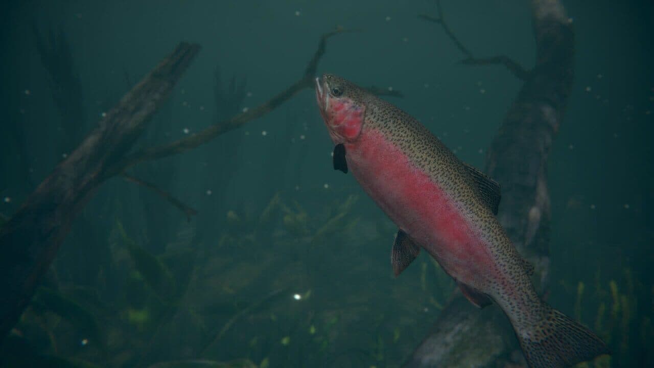 Ultimate Fishing Simulator 2 screenshot 1