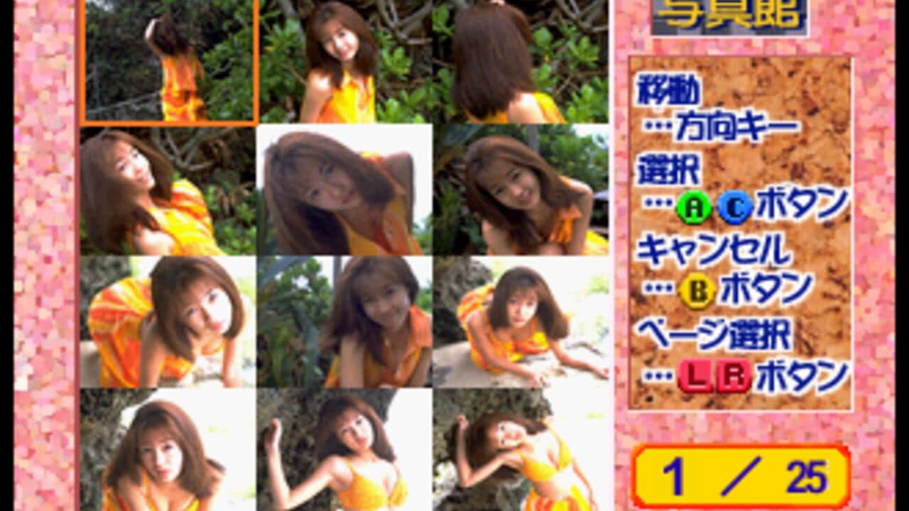 Private Idol Disc Vol. 9: Nagamatsu Keiko thumbnail 2
