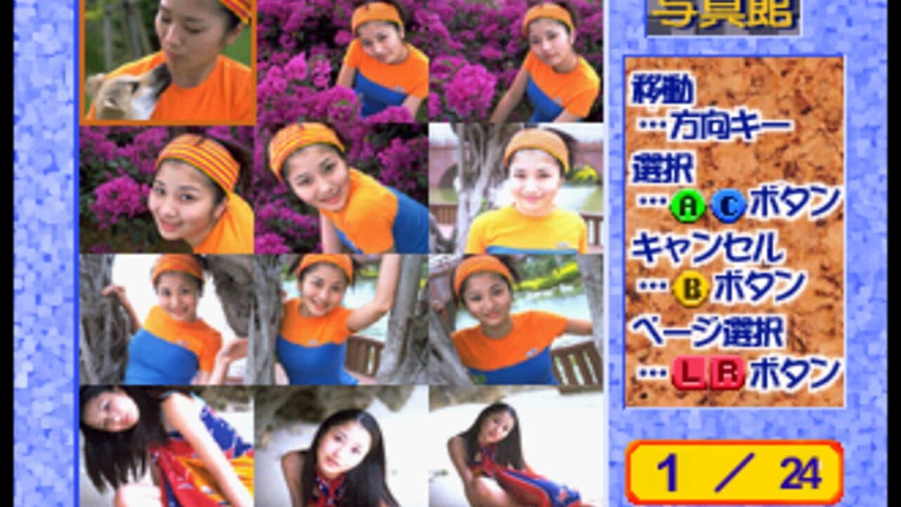Private Idol Disc Vol. 11: Mayumi Hirose thumbnail 2