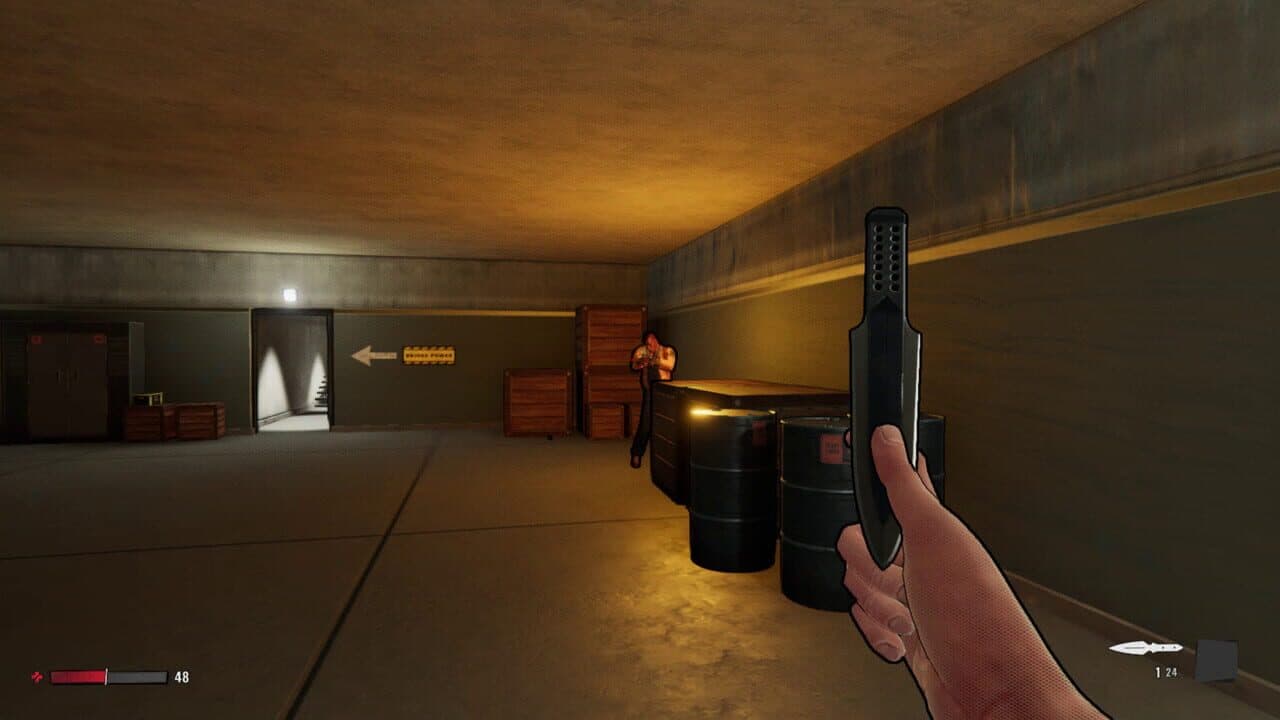 XIII: Limited Edition thumbnail 2