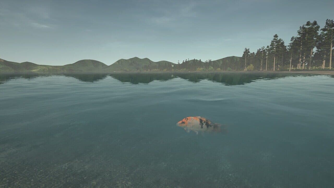Ultimate Fishing Simulator: Taupo Lake thumbnail 12
