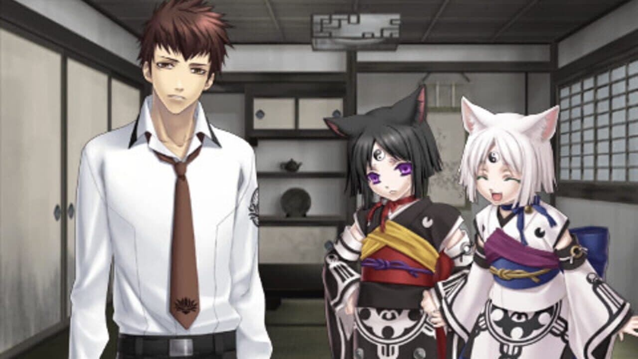 Shin Hisui no Shizuku: Hiiro no Kakera 2 Portable screenshot 1