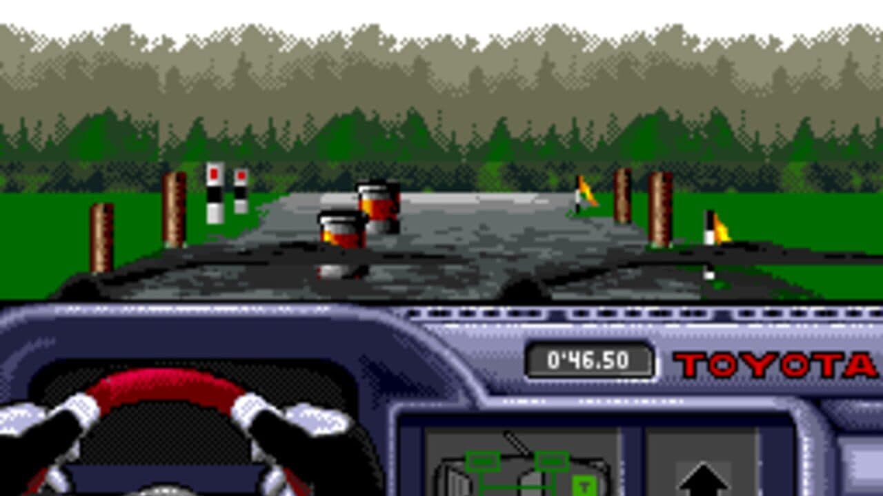 Rally: The Final Round of the World Rally Championship thumbnail 4