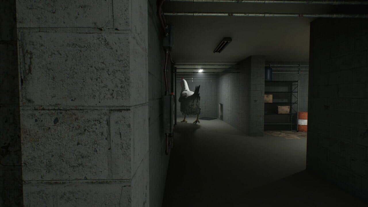 Chicken Feet thumbnail 4