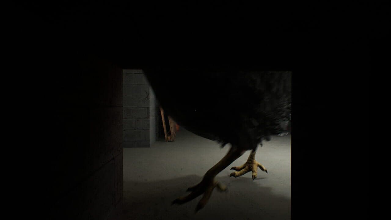 Chicken Feet thumbnail 8