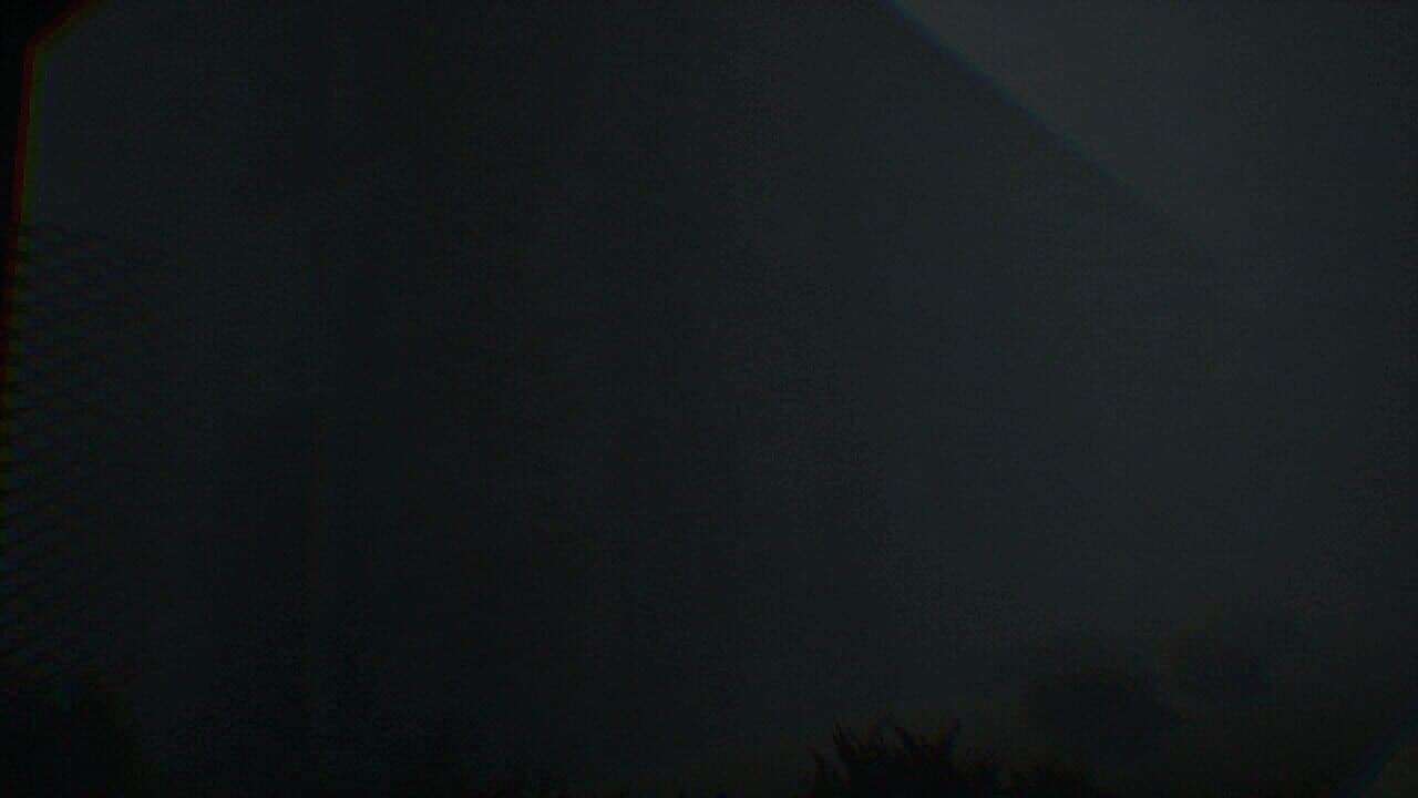 Let Me Out thumbnail 4