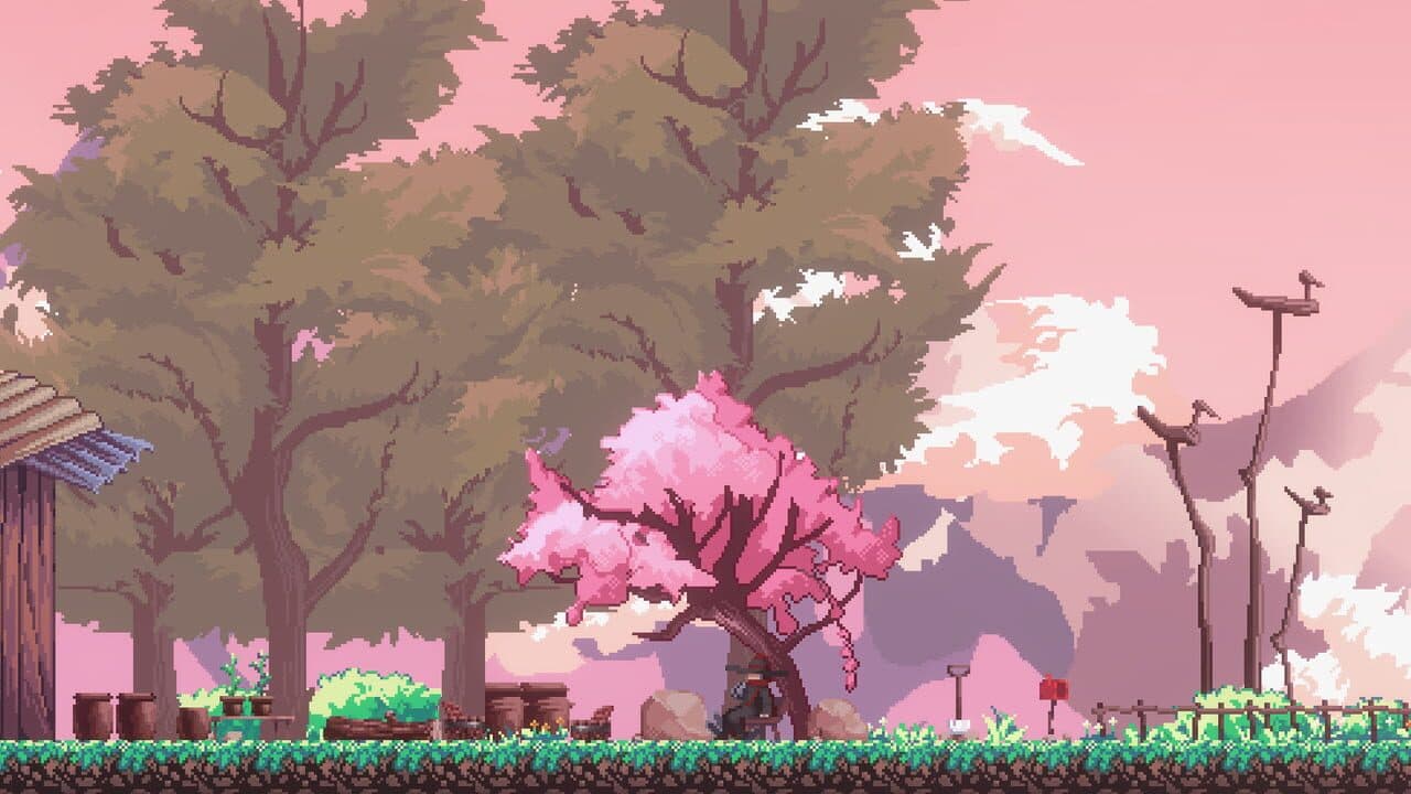 Sanabi thumbnail 6