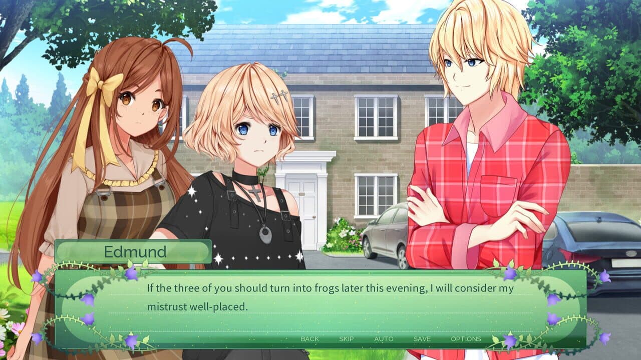 The Fairy's Secret thumbnail 8