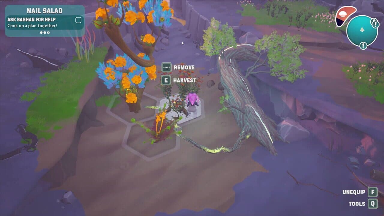 Distant Bloom thumbnail 5