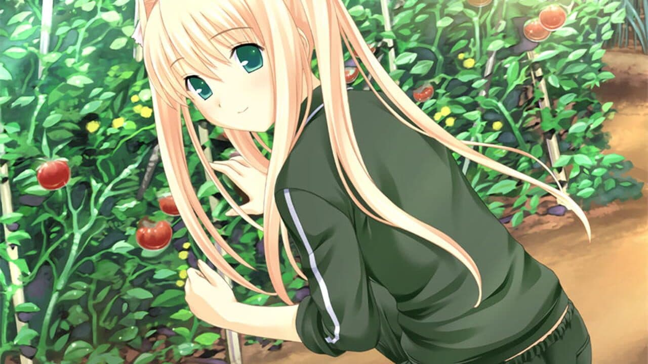 Kono Aozora ni Yakusoku wo thumbnail 2