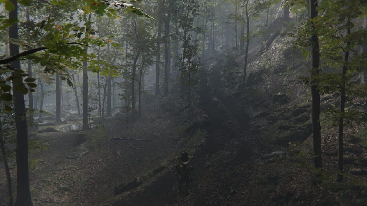 Deranged Park Rangers thumbnail 8